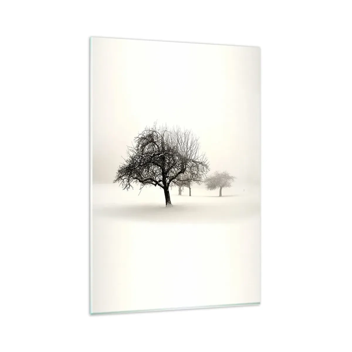 Obraz na skle - Zimní sen - 80x120 cm
