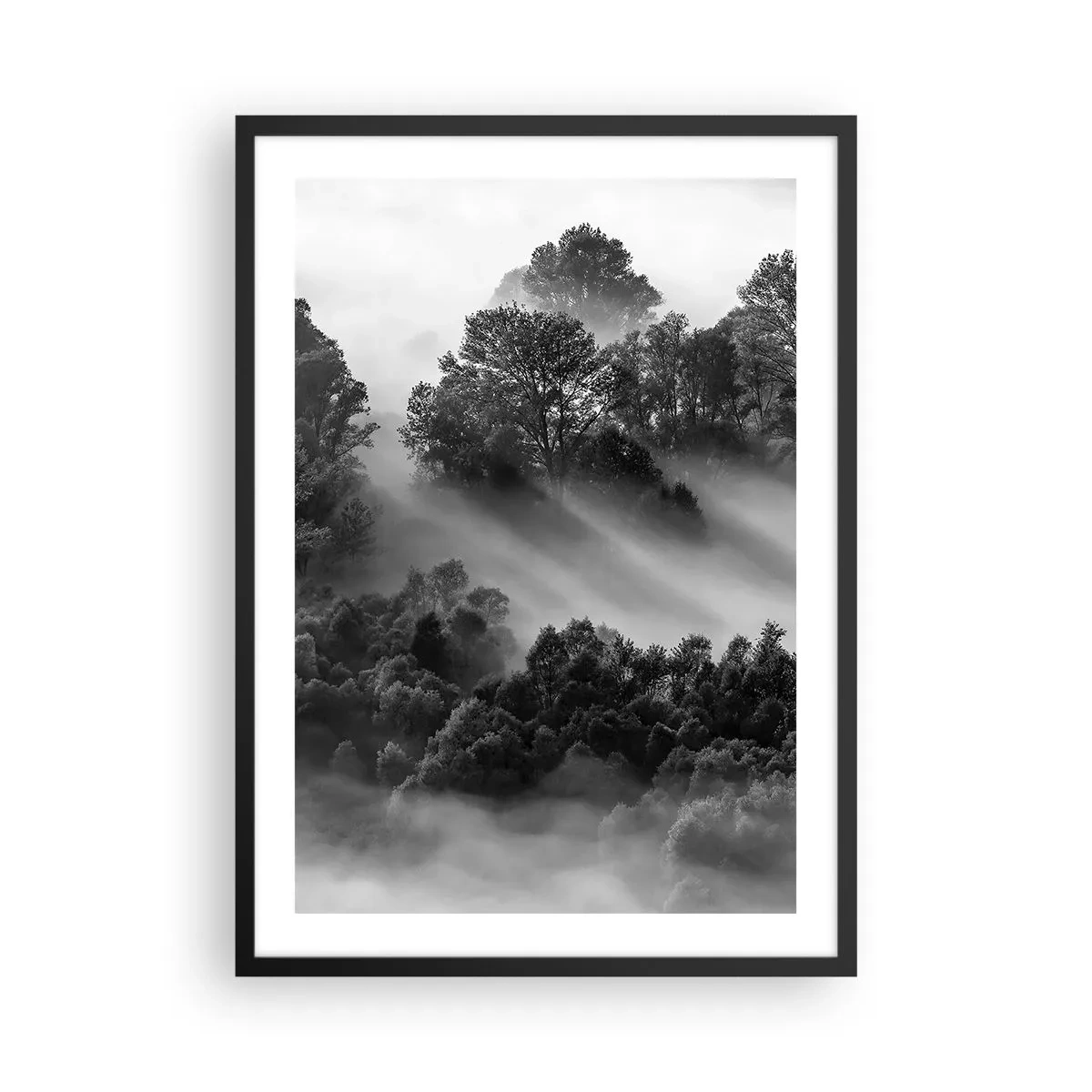 Plakát v černém rámu - Mlžný les v odstínech černé a bílé - 50x70cm - Probouzení ze spánku - Moderní nástěnná dekorace do obývacího pokoje a ložnice ARTTOR