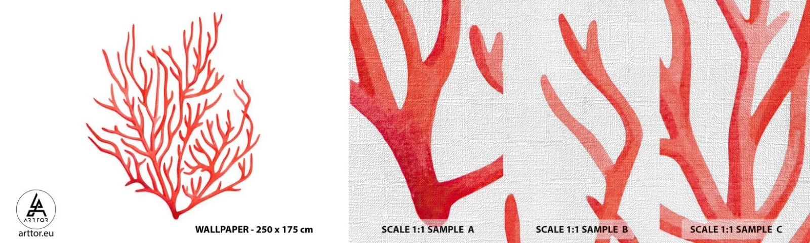 Vzor Fototapety Premium Canvas - Korálový filigrán - korálový útes, Pobřeží, Minimalistický - 100x30 cm