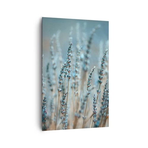 Obraz na plátně - Voňavý lán - 80x120 cm