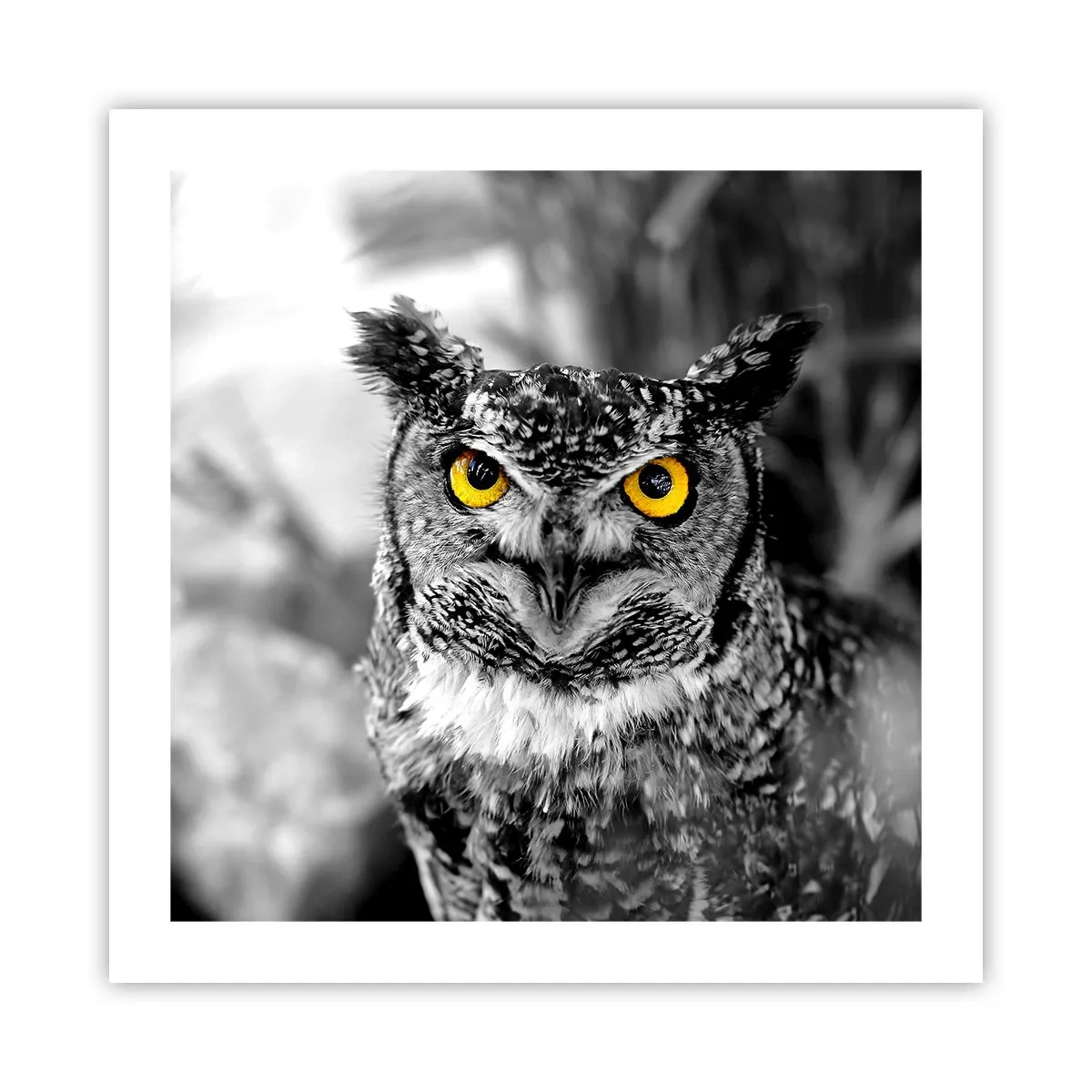 Plakát - Nic se neschová - 50x50 cm