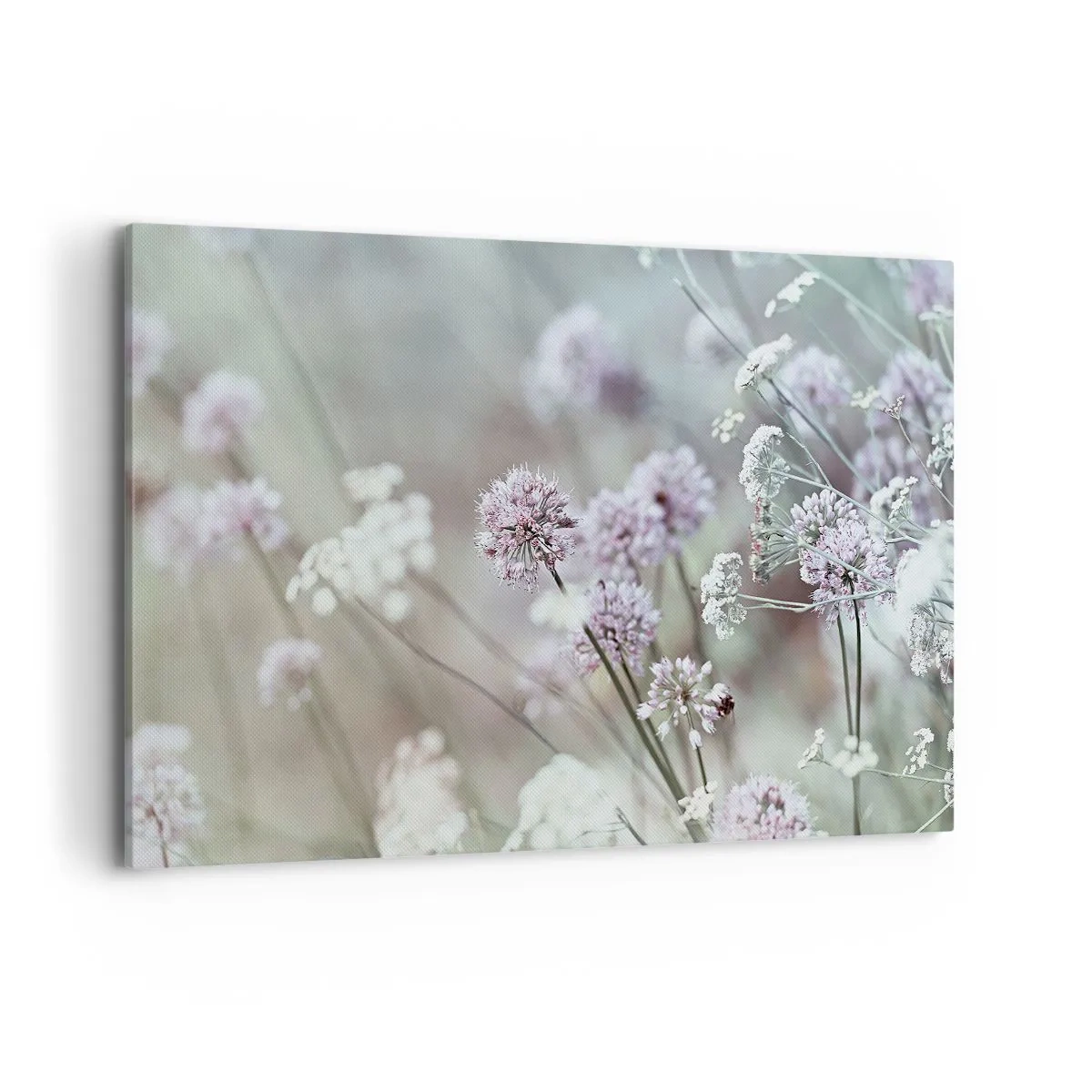 Obraz na plátně - Sladké filigrány bylinek - 120x80 cm
