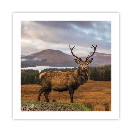 Plakát - Majestát přírody - 50x50 cm