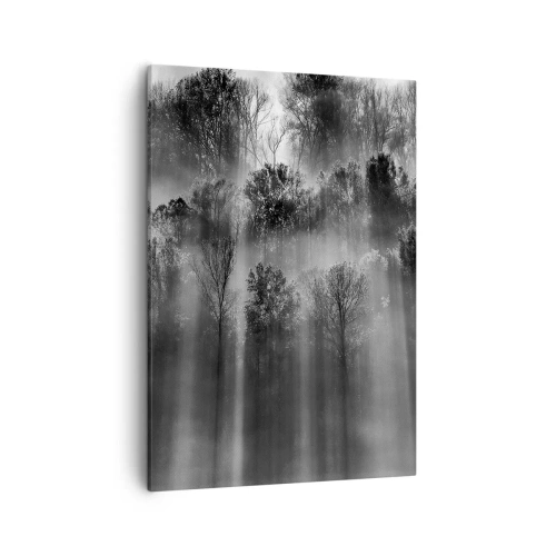 Obraz na plátně - V paprscích světla - 50x70 cm