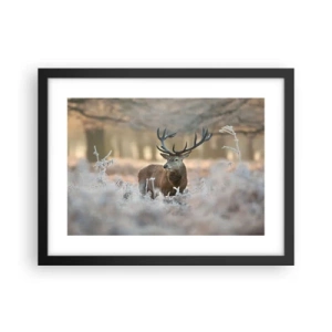 Plakát v černém rámu - Svěží ráno - 40x30 cm