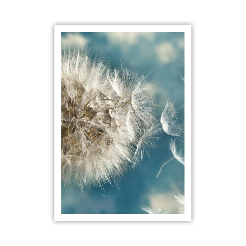 Plakát - Dech anděla - 70x100 cm