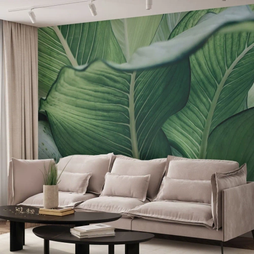 Fototapeta Samolepicí Deluxe Sticker - Intenzivně zelený život - Listy, Exotický, Botanický - 450x315 cm
