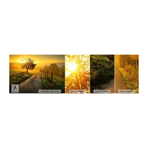 Vzor Fototapety Samolepicí Deluxe Sticker - Medové odpoledne - Krajina, Polní cesta, Louka - 100x30 cm