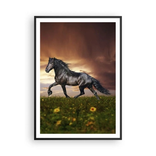 Plakát v černém rámu - Černý kníže - 70x100 cm
