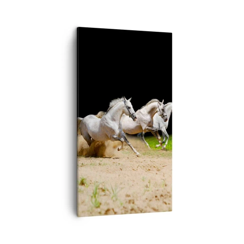 Obraz na plátně - Tři Grácie - 45x80 cm