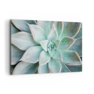 Obraz na plátně - Srdce pouště - 120x80 cm