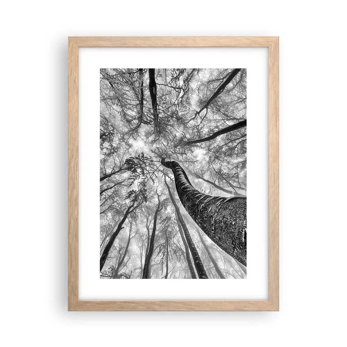 Plakát v rámu světlý dub - Závod ke světlu - 30x40 cm