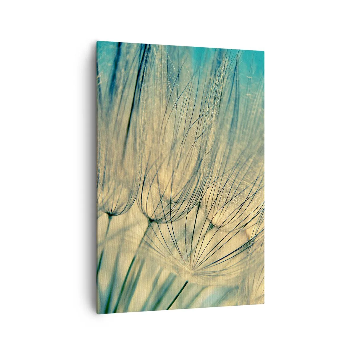 Obraz na plátně - Čekání na vítr - 70x100 cm