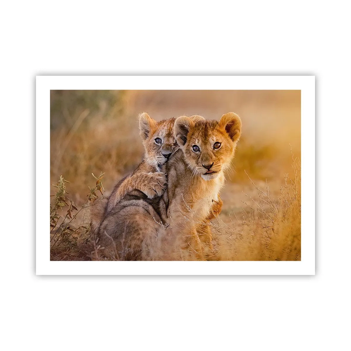 Plakát - Nevyrušovat! Hrajme si - 70x50 cm