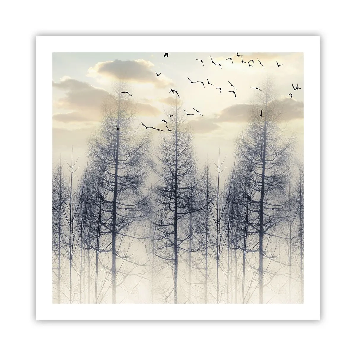 Plakát - Duchové lesa - 60x60 cm