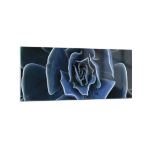 Obraz na skle - Pouštní květ - 120x50 cm