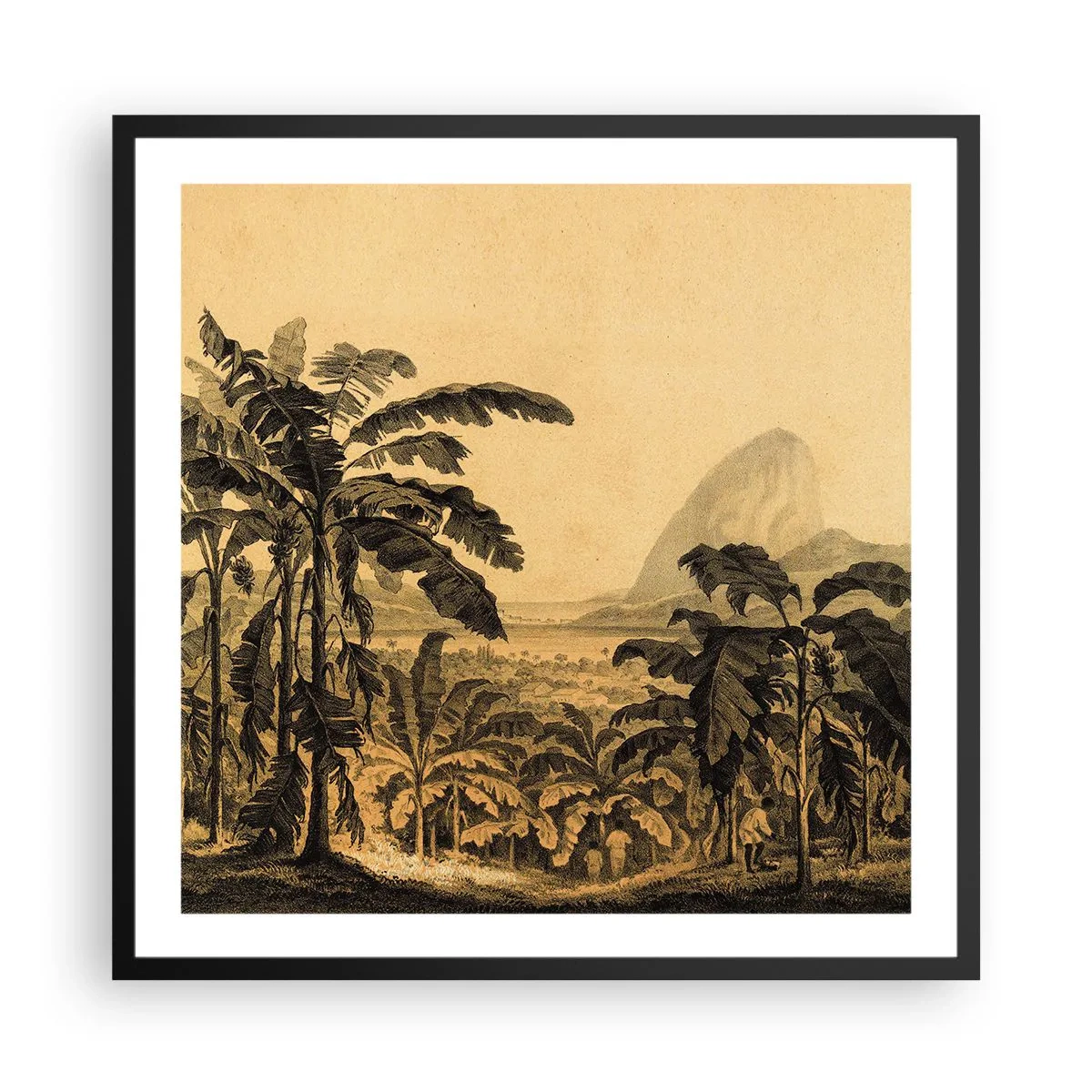 Plakát v černém rámu - V koloniálním stylu - 60x60 cm