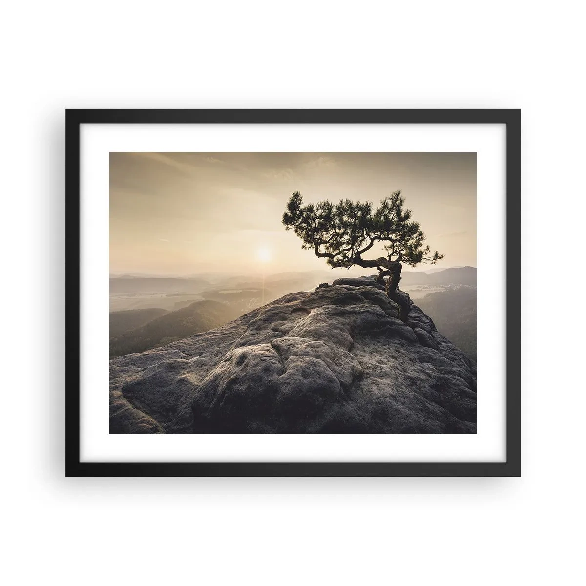 Plakát v černém rámu - Život vždy vítězí - 50x40 cm