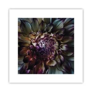 Plakát - Rozkvět mládí - 30x30 cm