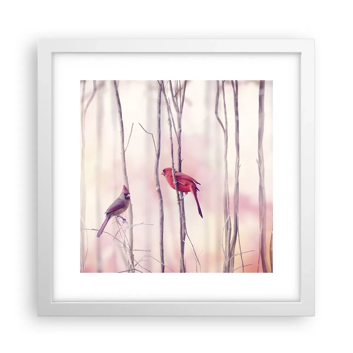 Plakát v bílém rámu - Příběh růžového lesa - 30x30 cm
