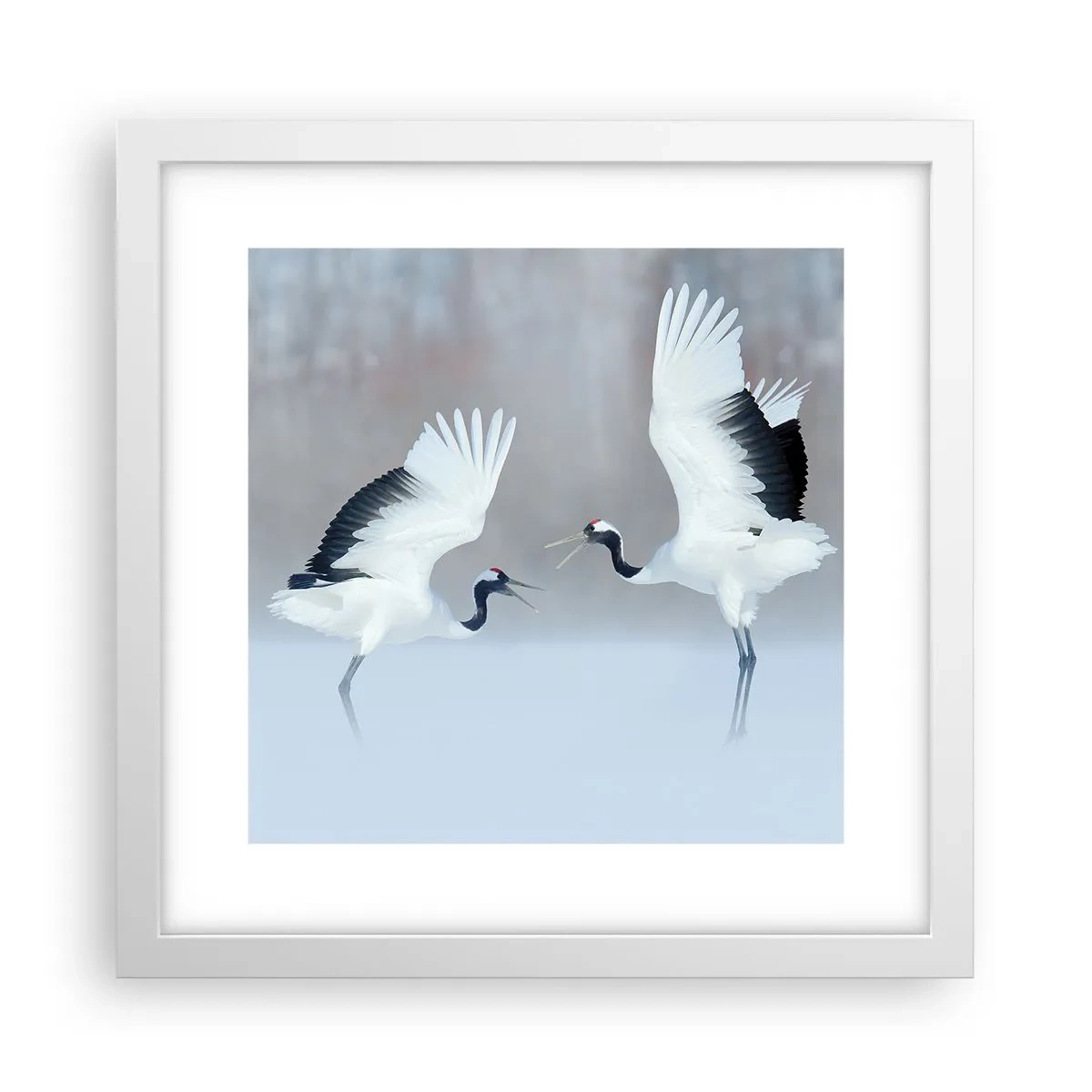 Plakát v bílém rámu - Tanec v mlze - 30x30 cm