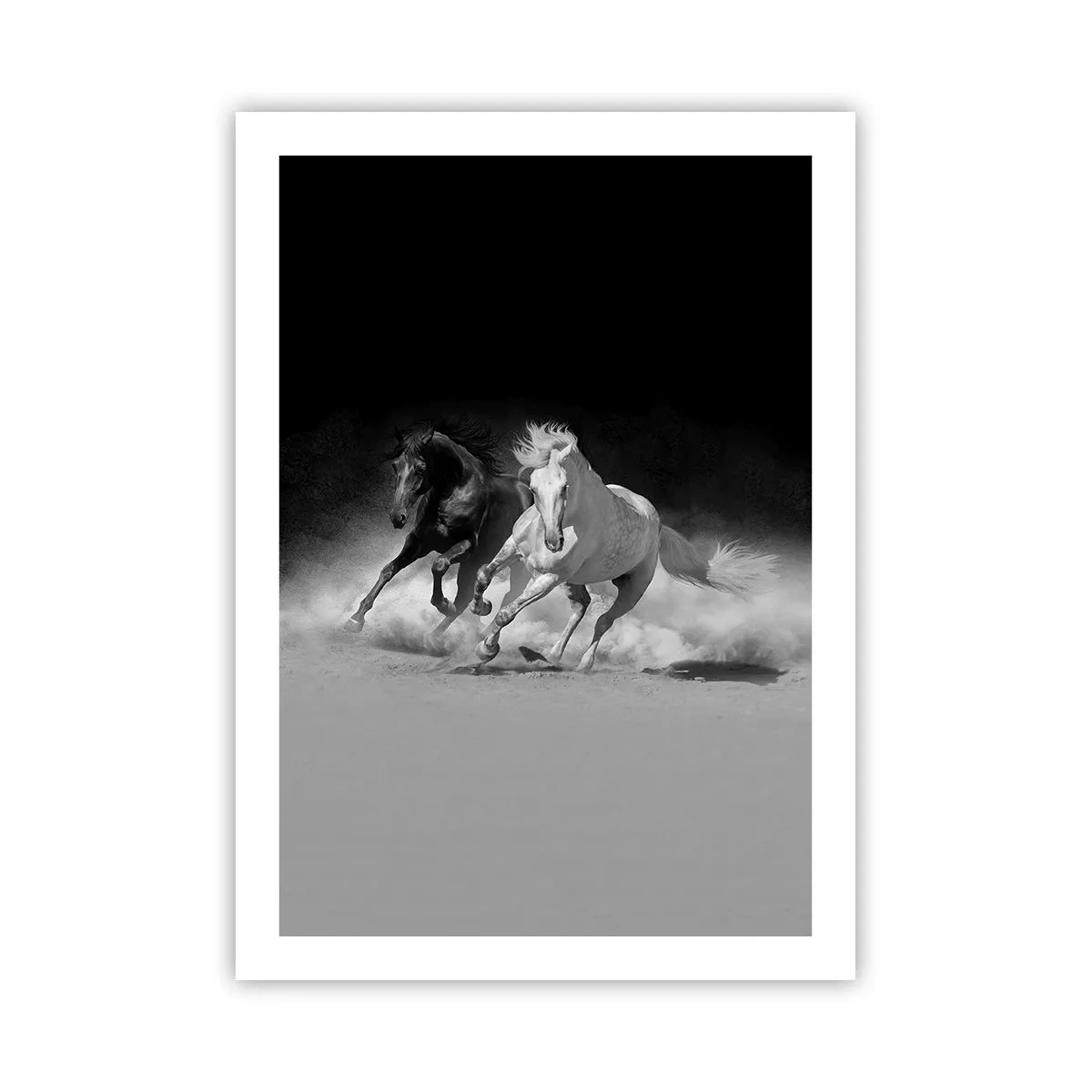 Plakát - Cval svobody - 50x70 cm