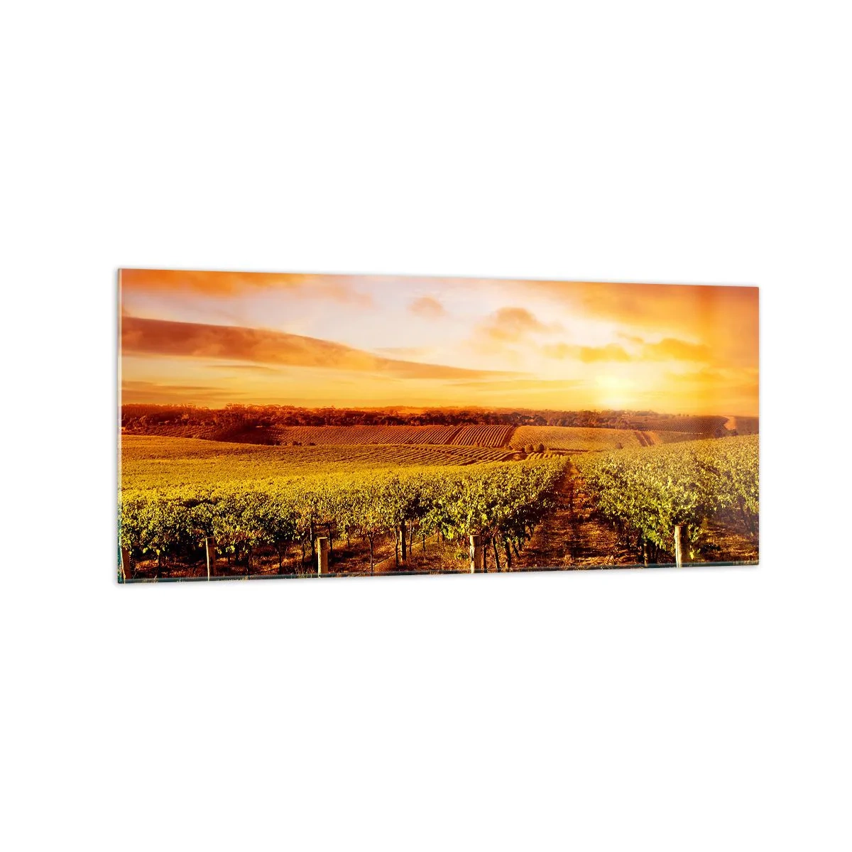 Obraz na skle - Jemně ovocné s tónem slunce - 120x50 cm