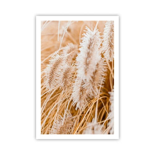 Plakát - Zlaté šustění travin - 61x91 cm