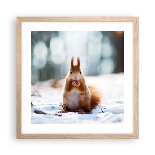 Plakát v rámu světlý dub - Co se tak díváš? - 40x40 cm