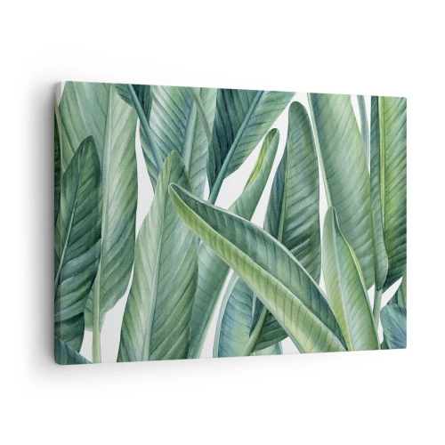 Obraz na plátně - Zelené listy v minimalistickém, botanickém stylu - 70x50cm - Prostě zelená - Moderní nástěnná dekorace do obývacího pokoje a ložnice ARTTOR