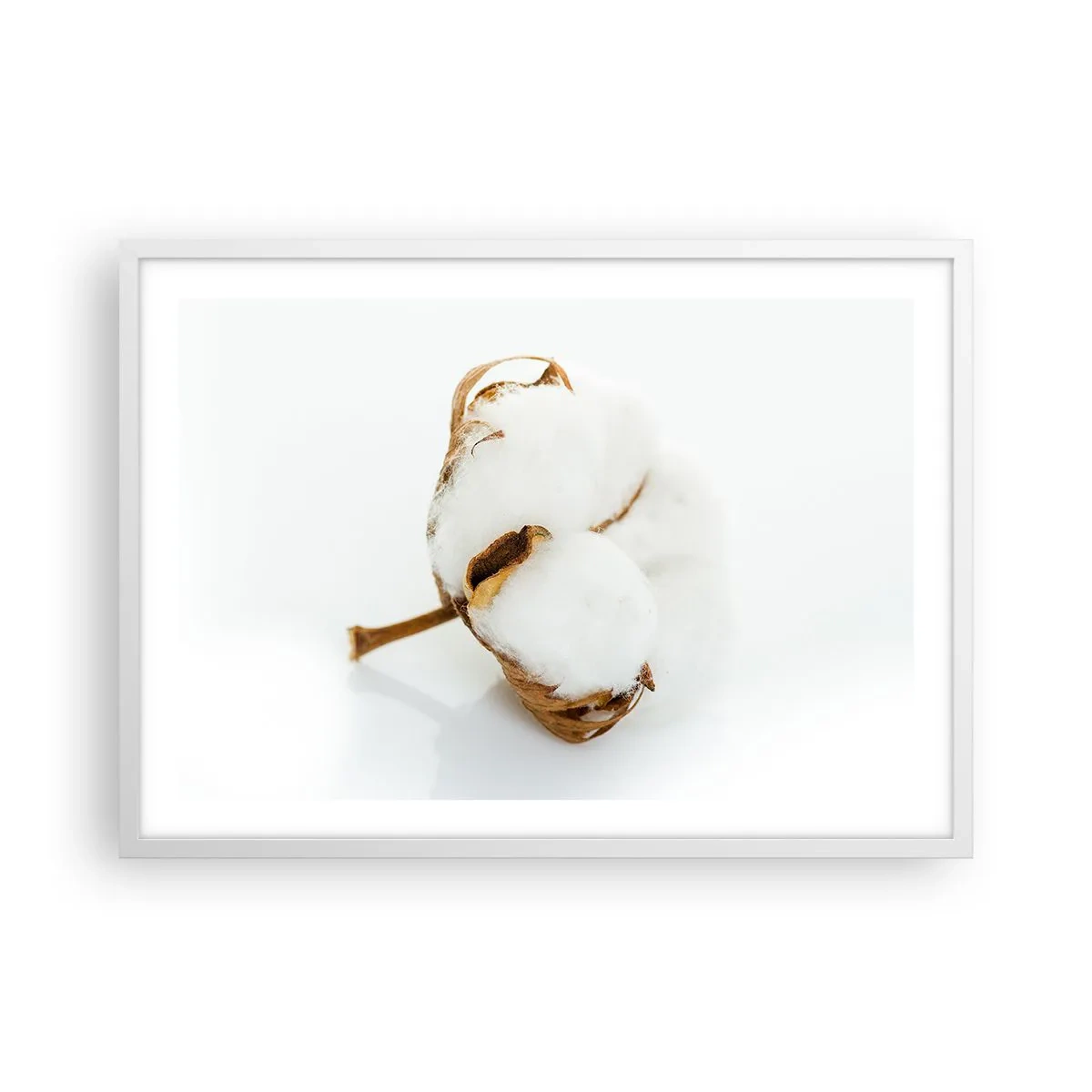 Plakát v bílém rámu - Měkká od přírody - 70x50 cm
