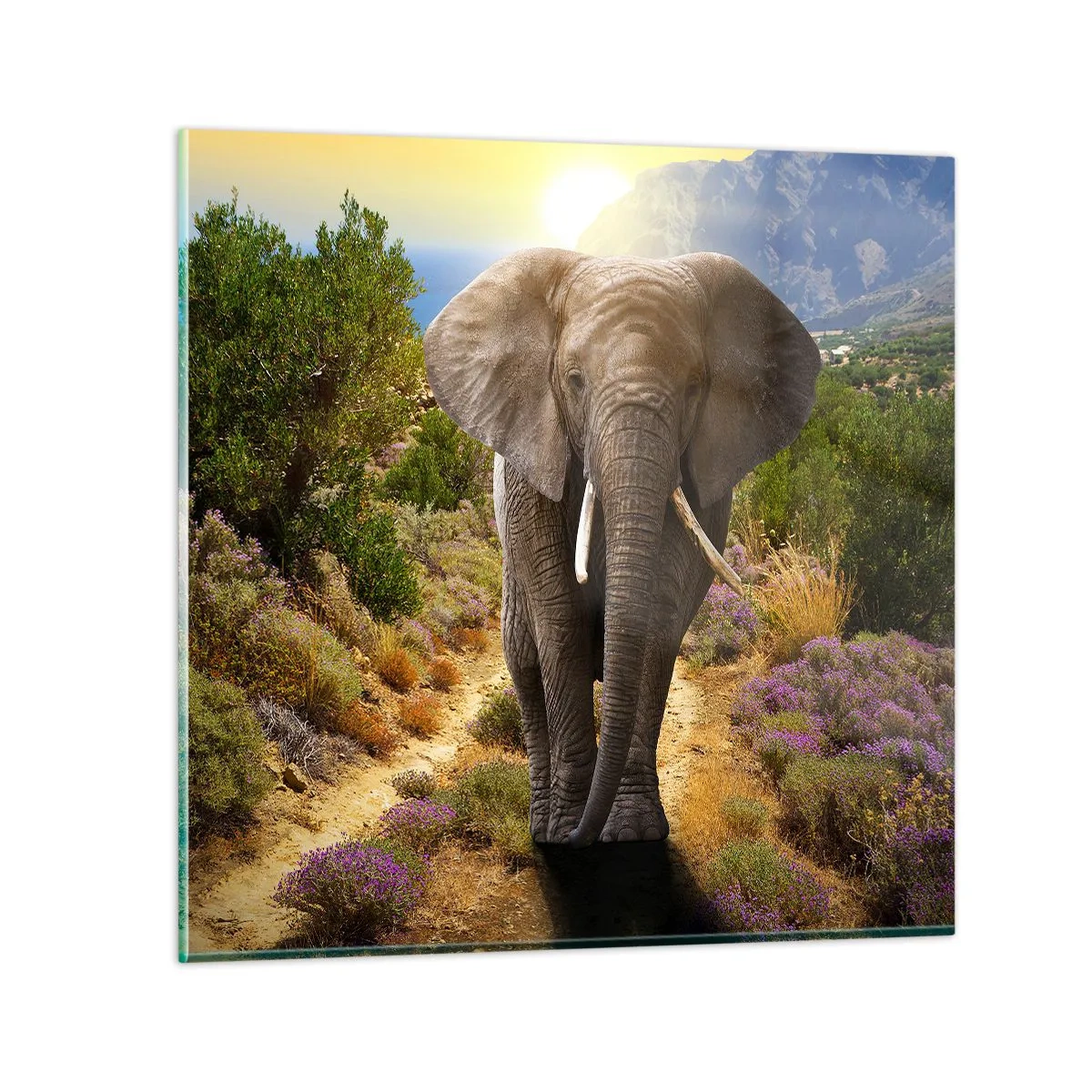 Obraz na skle - Tak vypadal Ráj - 30x30 cm