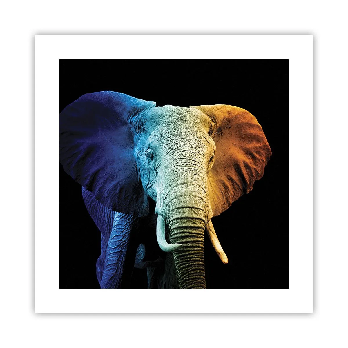 Plakát - Výstřední muž, ale ne podivín - 40x40 cm