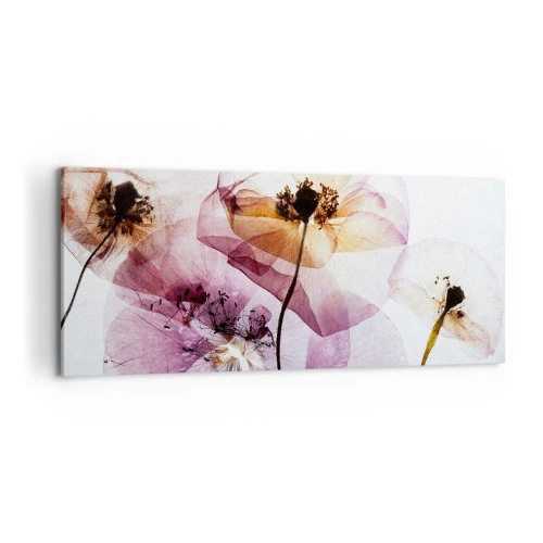 Obraz na plátně - Průhledné těla květin - 100x40 cm