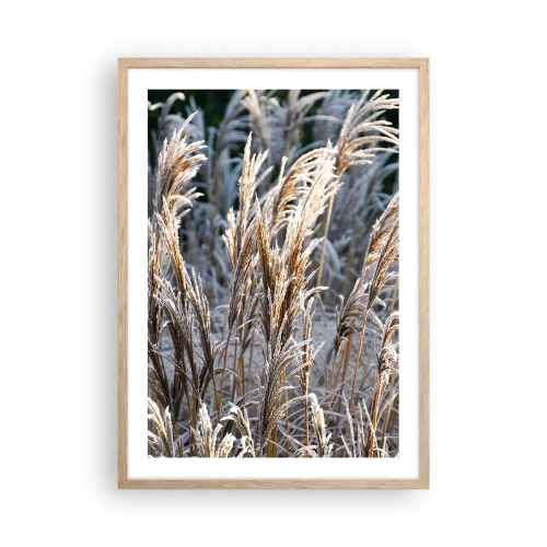 Plakát v rámu světlý dub - Mrazem pokryté - 50x70 cm