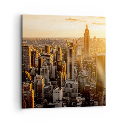 Obraz na plátně - Růst na slunci - 70x70 cm