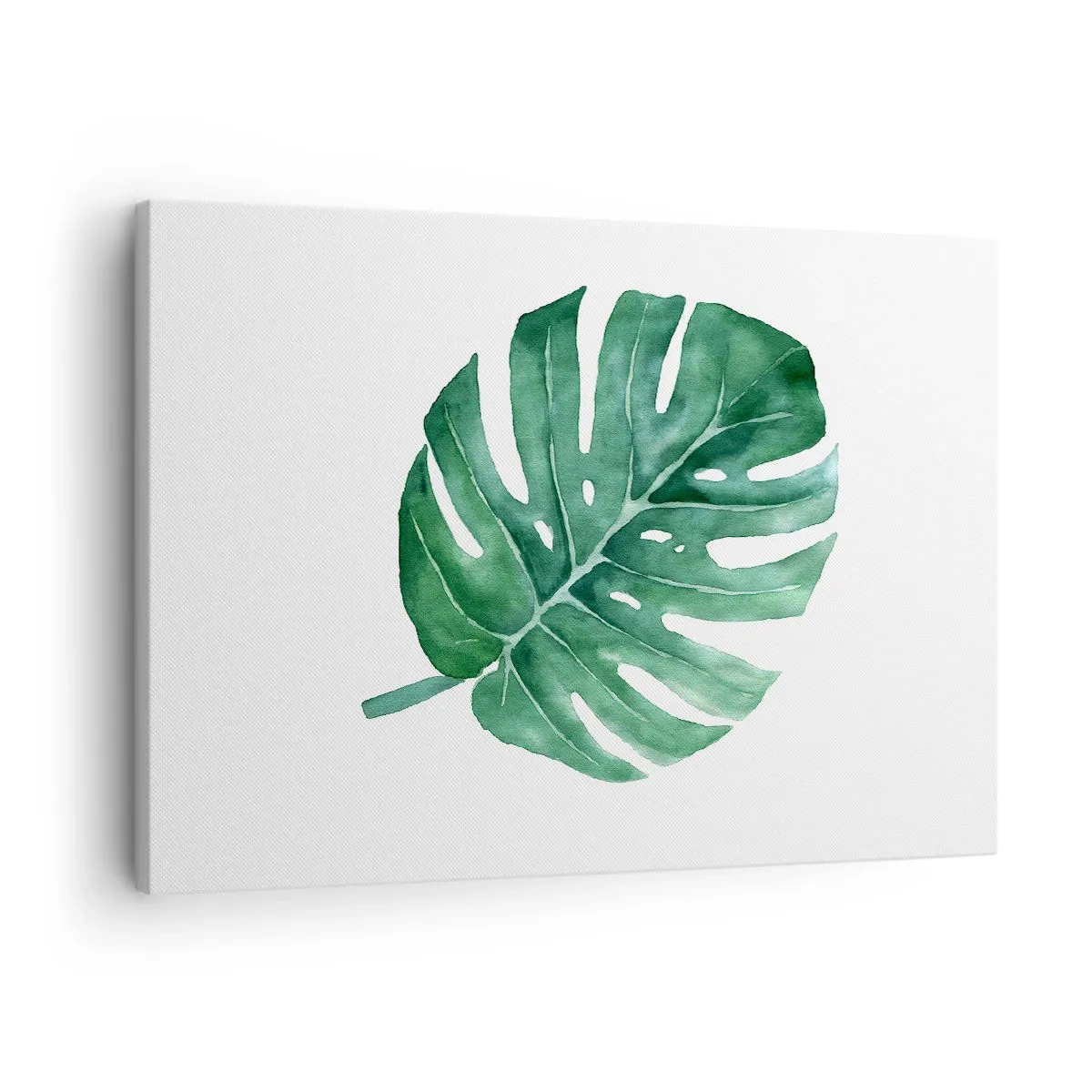 Obraz na plátně - Zelený list monstery v minimalistickém stylu - 70x50cm - Zelený koncept - Moderní nástěnná dekorace do obývacího pokoje a ložnice ARTTOR