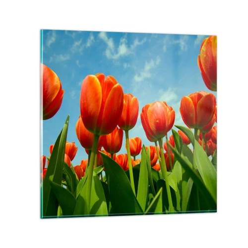 Obraz na skle - Kromě blankytného nebe nic v životě nepotřebují - 30x30 cm