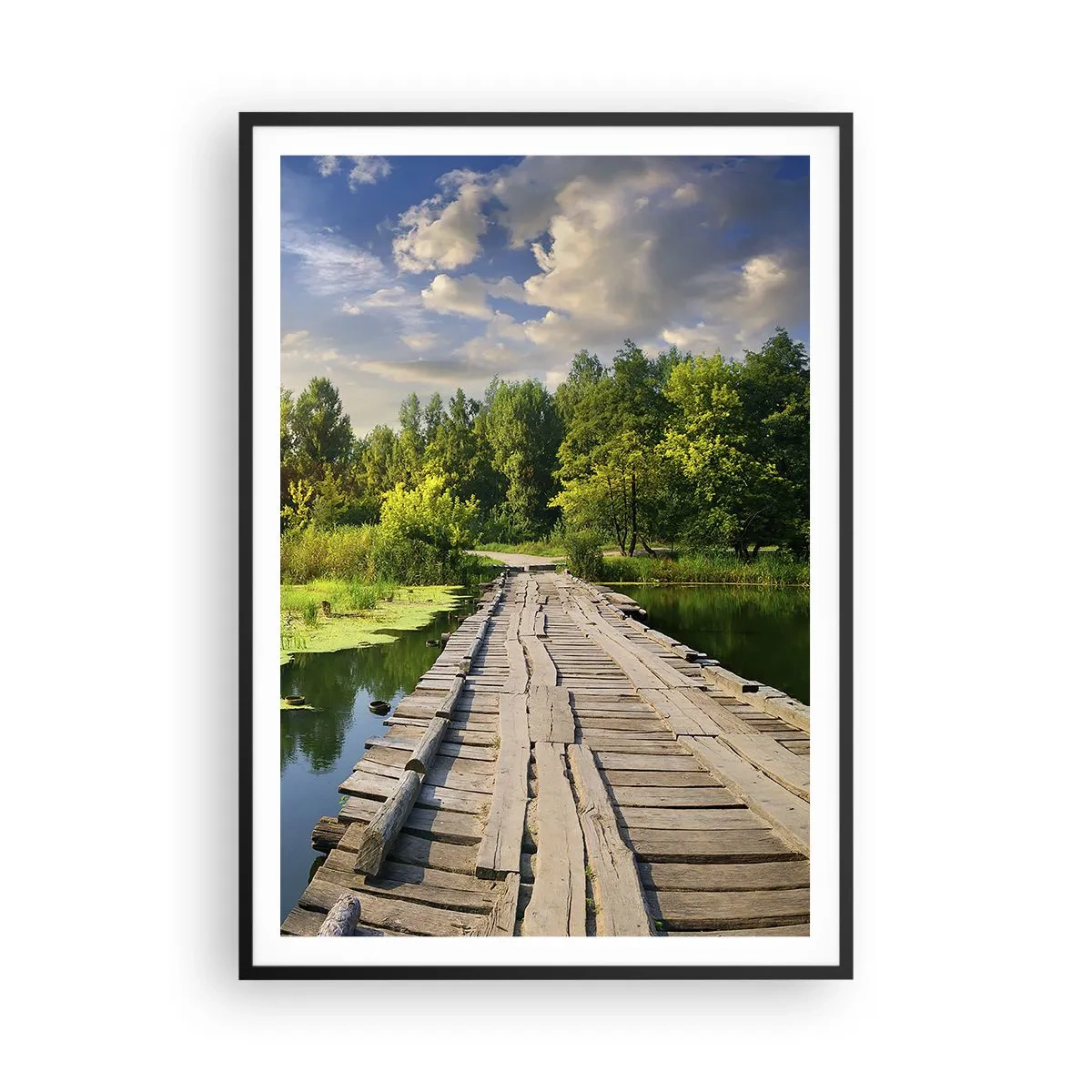 Plakát v černém rámu - Léto, léto všude - 70x100 cm