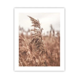 Plakát - Na polích už je podzim - 40x50 cm