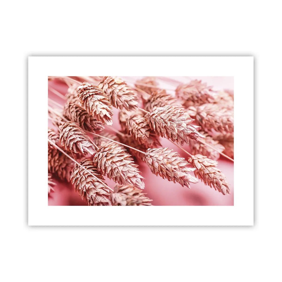 Plakát - Květinová kaskáda v růžové - 40x30 cm