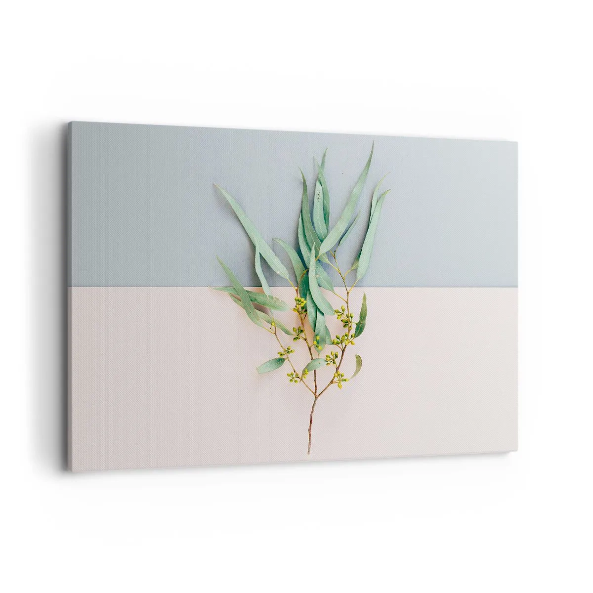 Obraz na plátně - Pastelová jemnost - 100x70 cm