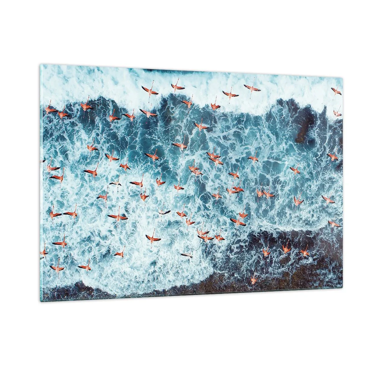 Obraz na skle - Přímořský průvod - 120x80 cm
