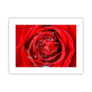 Plakát - V kapkách rosy - 40x30 cm