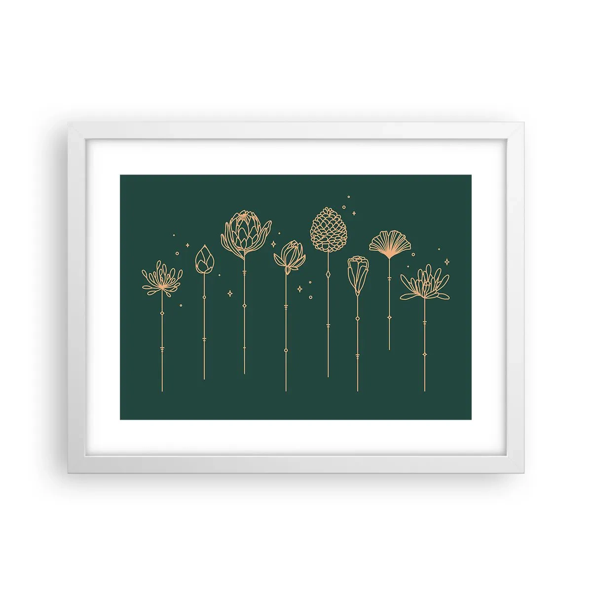 Plakát v bílém rámu - Bylinky - 40x30 cm