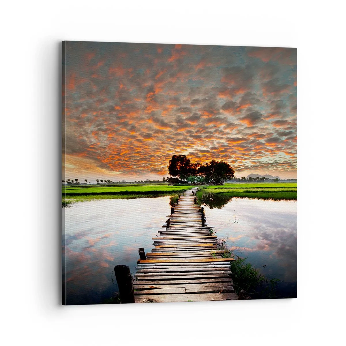 Obraz na plátně - Roztáhněte ruce - dýchejte  - 70x70 cm