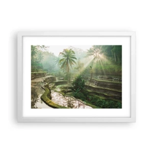 Plakát v bílém rámu - Vyrůstát na slunci - 40x30 cm