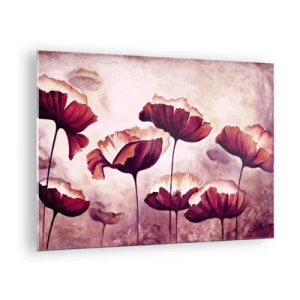 Obraz na skle - Červené a bílé vlčí máky proti jasné obloze - 70x50cm - Červený a bílý plátek - Moderní nástěnná dekorace do obývacího pokoje a ložnice ARTTOR