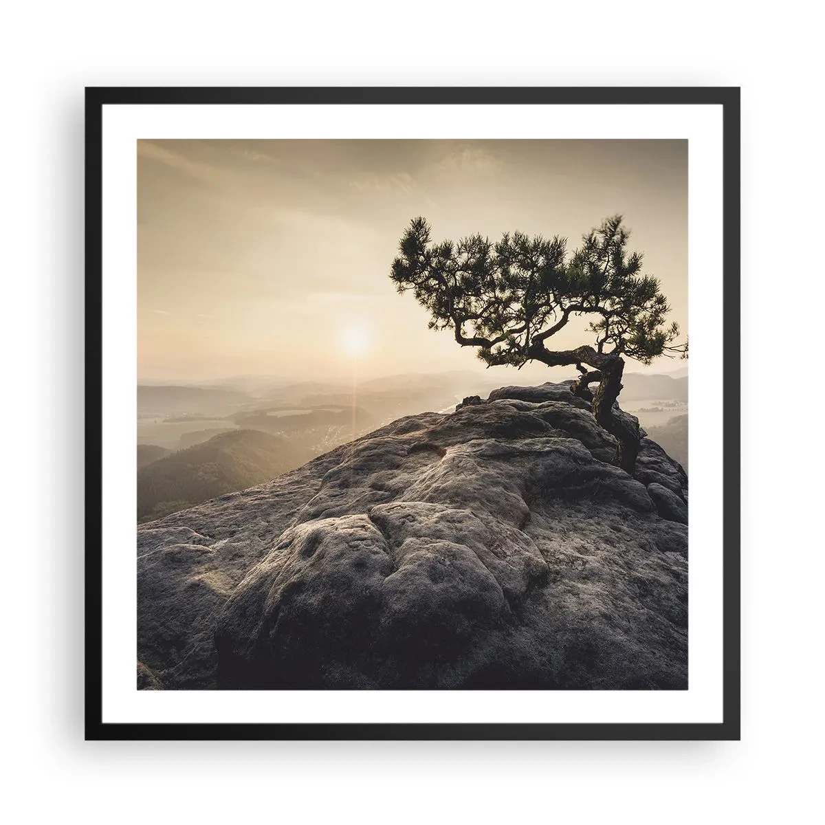 Plakát v černém rámu - Život vždy vítězí - 60x60 cm