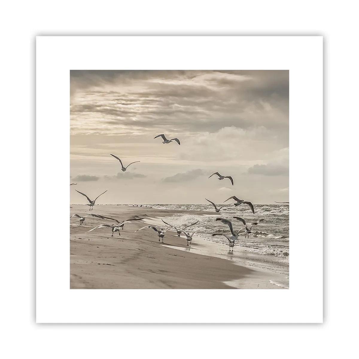 Plakát - Šumění moře, zpěv ptáků - 30x30 cm